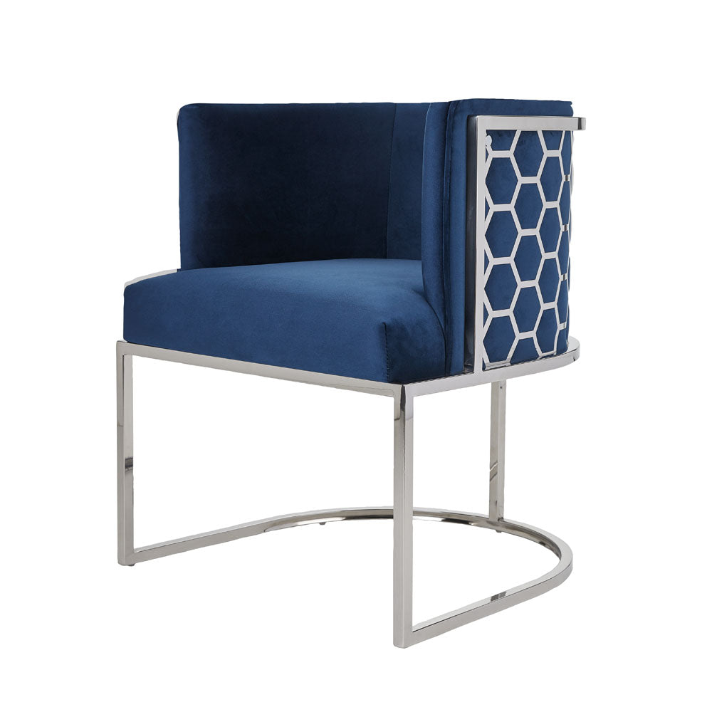 Tolani Dining Chair - Ella and Ross Furniture