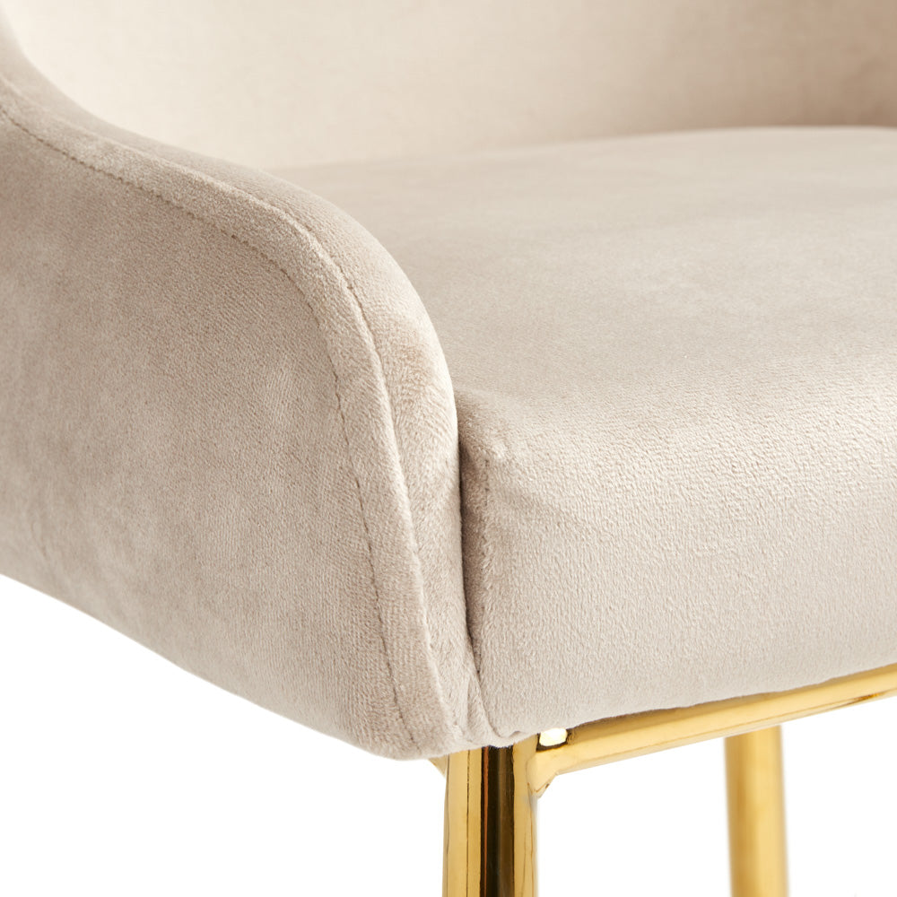 Roma Gold Counter Stool - Ella and Ross Furniture