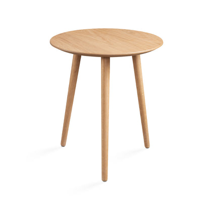 Moira End Table in Oak - Ella and Ross Furniture